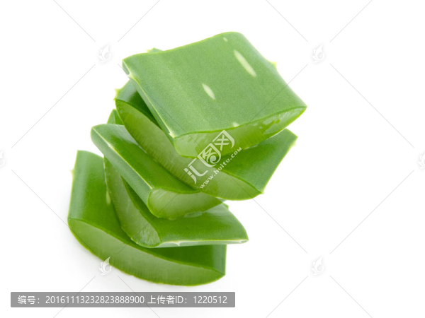 白色背景蘆薈葉切片