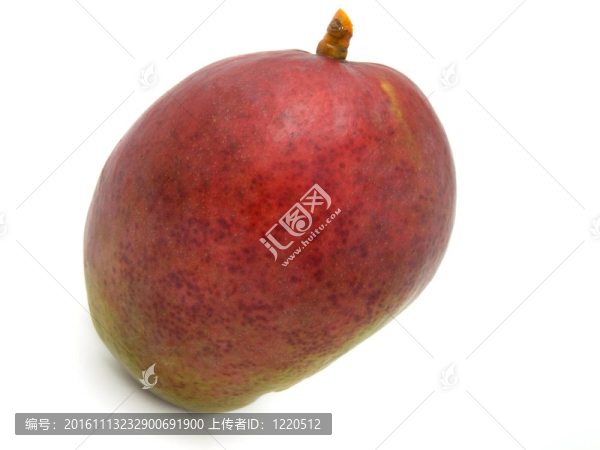 白色背景上的芒果-匯圖網(wǎng) www.fosd68.com 白色背景上的芒果