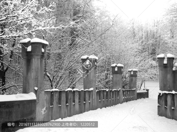 黑色和白色木雪馬道圖像
