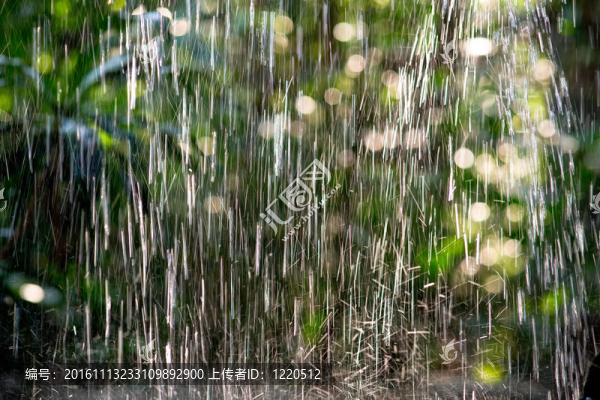 雨
