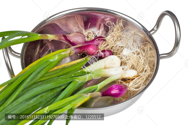 蔥碗-匯圖網(wǎng) www.fosd68.com 蔥碗