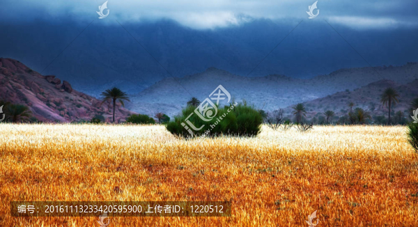 風暴在摩洛哥