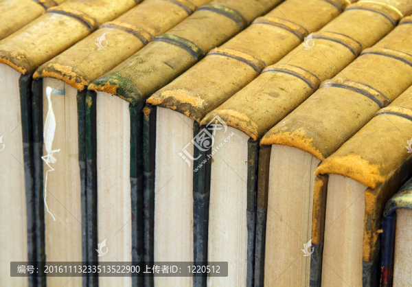 一行一行的古董書