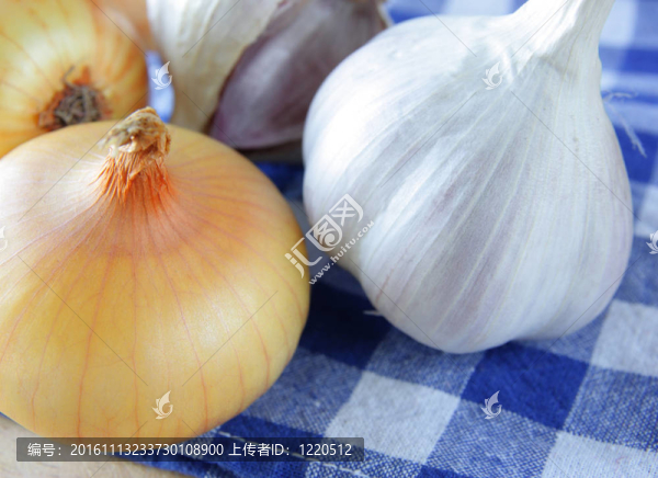 洋蔥和大蒜-匯圖網(wǎng) www.fosd68.com 洋蔥和大蒜
