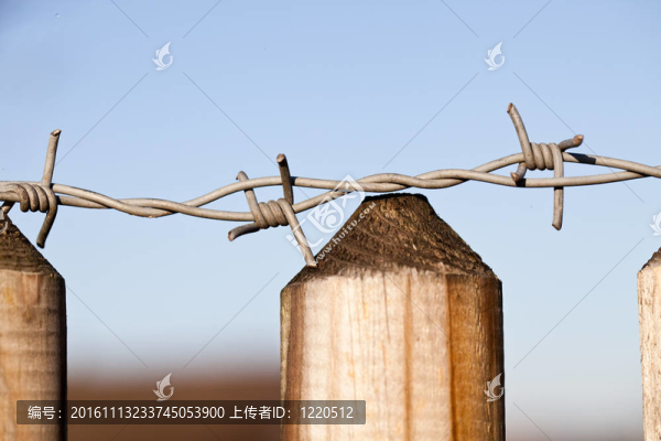 鐵絲網