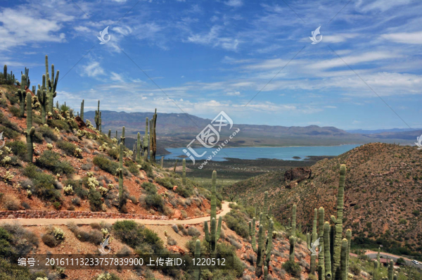 西奧多羅斯福湖