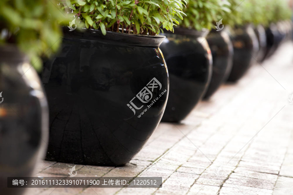 花盆-匯圖網(wǎng) www.fosd68.com 花盆