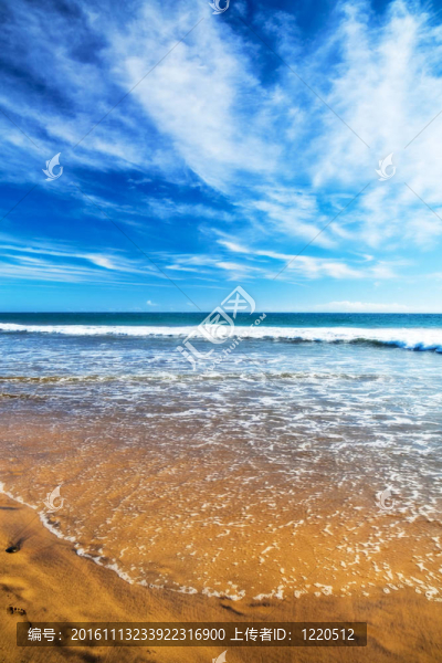 海