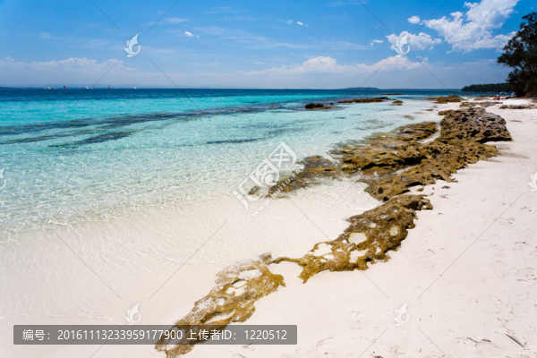 蘇格蘭巖石海灘booderee國家公園；新南威爾士澳大利亞；