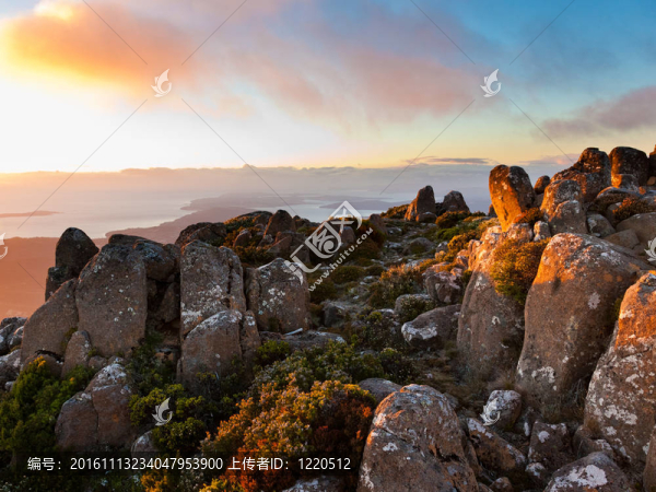 威靈頓山