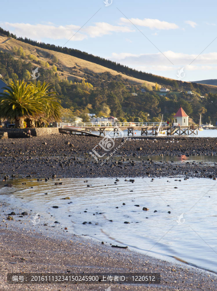 阿卡羅阿半島南部海濱銀行坎特伯雷新西蘭島
