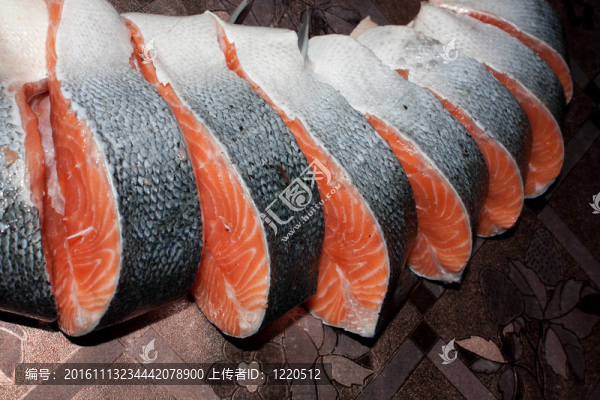 鮭魚(yú)