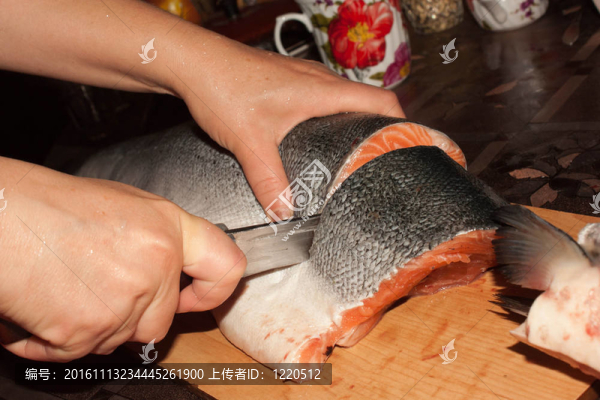 鮭魚