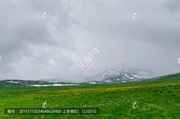 夏天的風景