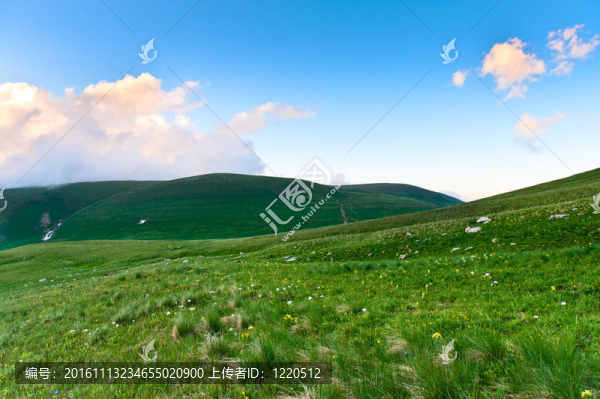 夏天的風景
