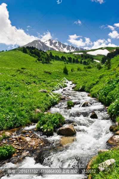 山區(qū)河流-匯圖網(wǎng) www.fosd68.com 山區(qū)河流
