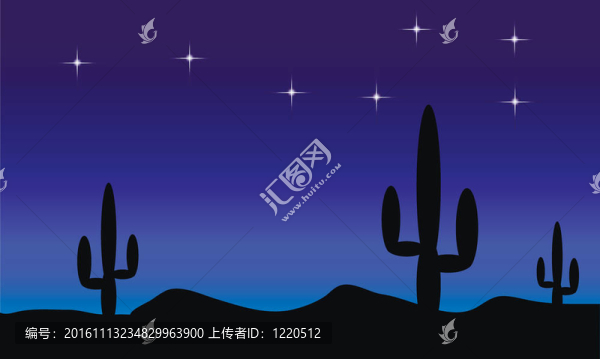 仙人掌植物沙漠。晚上