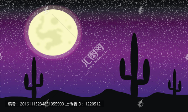 仙人掌植物沙漠。晚上