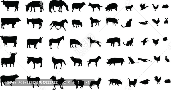 農(nóng)場里的動物