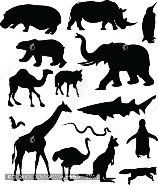 野生動物