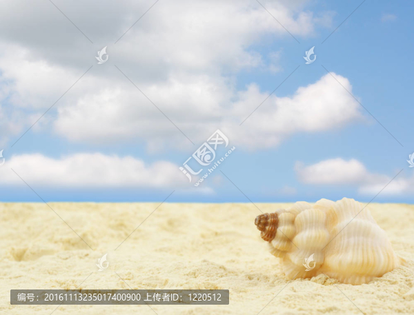 帶殼的沙灘-匯圖網(wǎng) www.fosd68.com 帶殼的沙灘