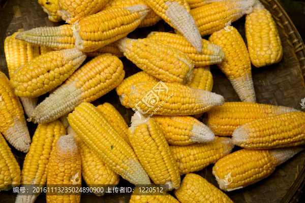 玉米棒