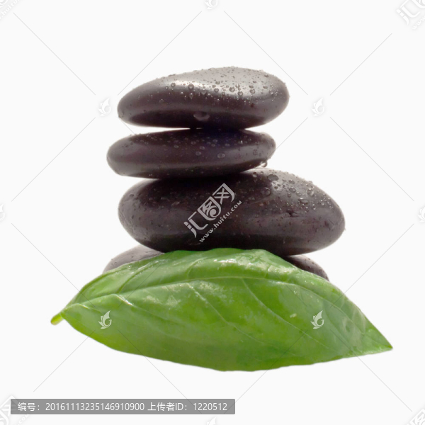 石頭和葉