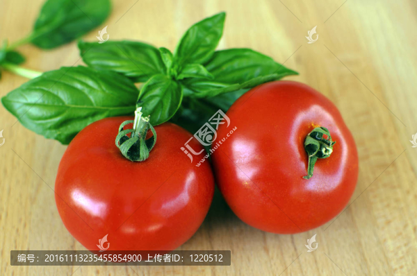 番茄和羅勒