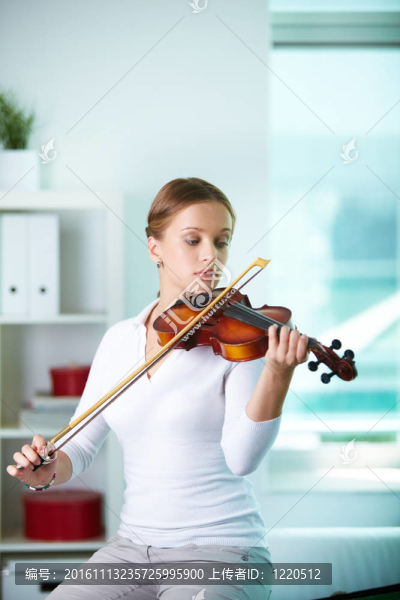 拉小提琴-匯圖網(wǎng) www.fosd68.com 拉小提琴