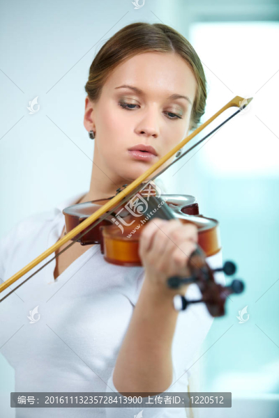 小提琴手