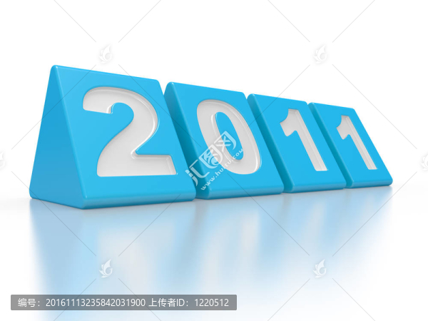 新的一年2011