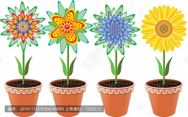花盆里的花