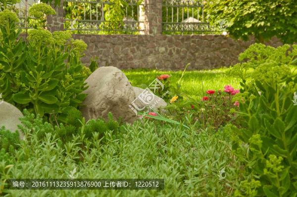 公園景觀設(shè)計；陽光燦爛的一天