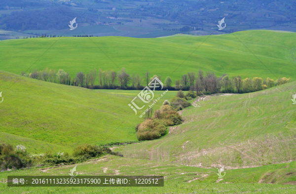 意大利.Val,d,Orcia山谷。托斯卡納景觀