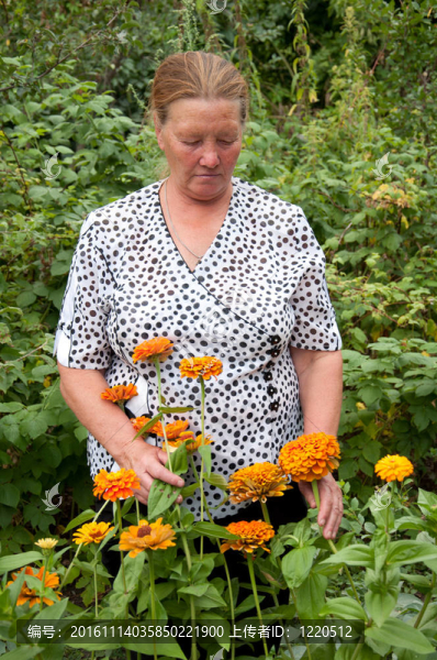 老人照顧花園里的花在小屋