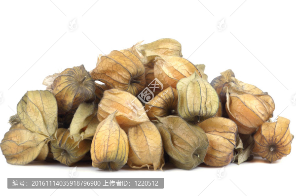 酸漿果