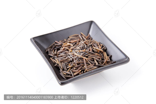 野生稻