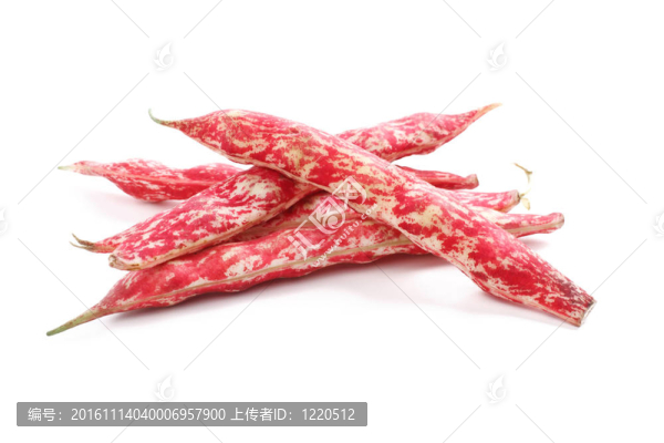 Borlotti豆