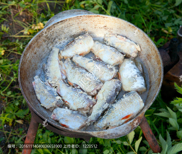 油炸的魚-匯圖網(wǎng) www.fosd68.com 油炸的魚