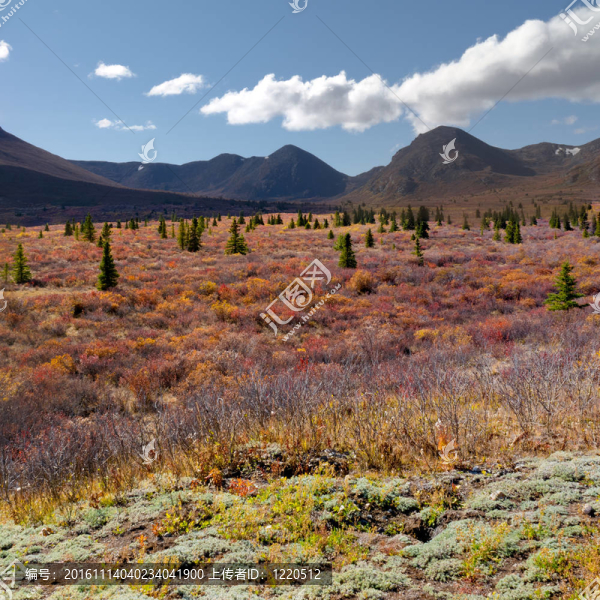 秋季高山景觀