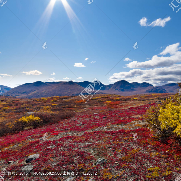 秋季高山景觀
