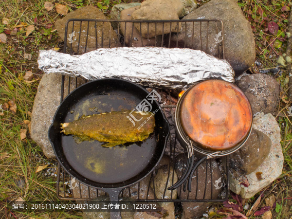 烹調(diào)魚晚餐的篝火