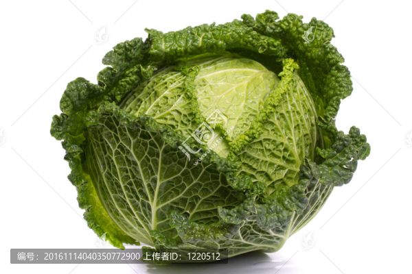 新鮮的卷心菜