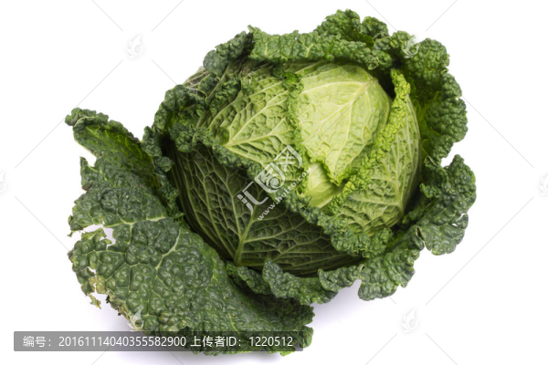 新鮮的卷心菜