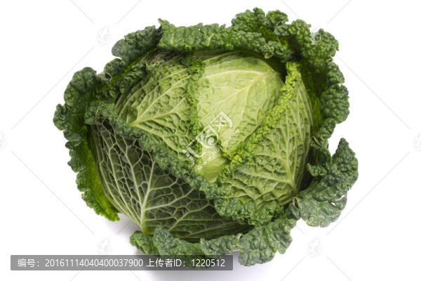 新鮮的卷心菜