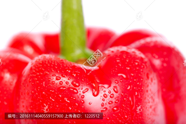 鮮紅鈴椒