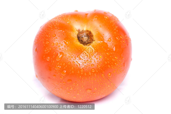 鮮紅色的西紅柿