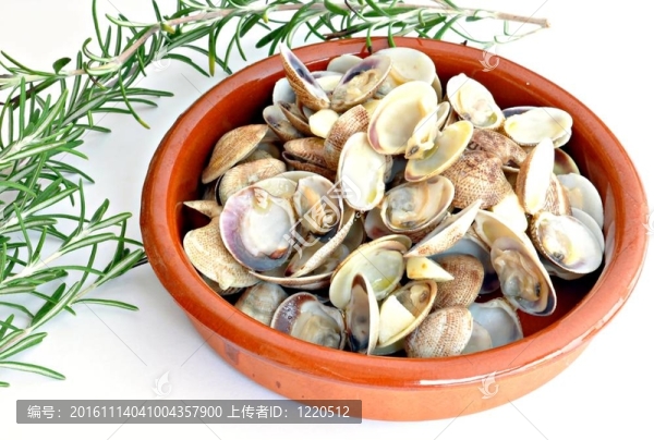 砂鍋蛤蜊