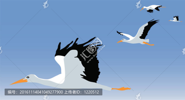 鸛