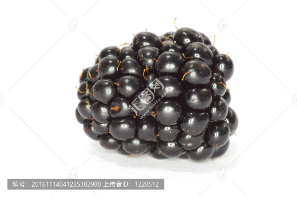 黑莓